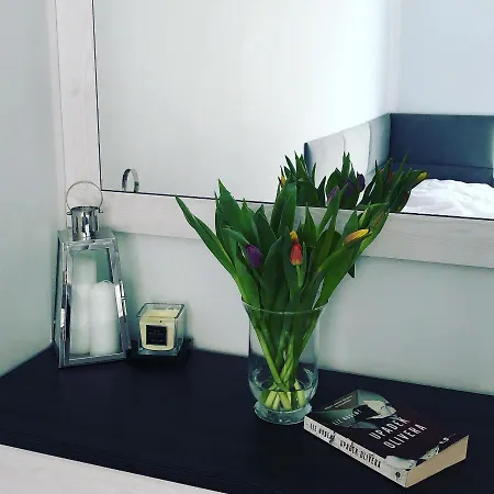 Apartment Happiness