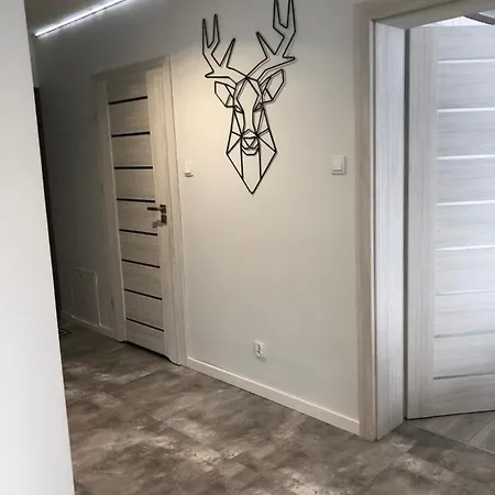 Happiness 耶莱尼亚古拉